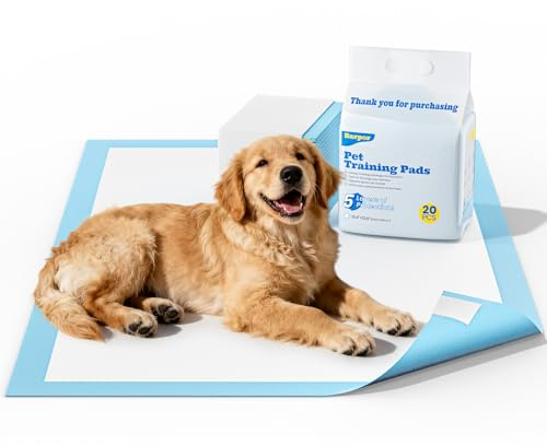 Barpor Alaise pour Chien 60x60cm - Aleses Jetables pour Chien 20 Pièces, Tapis de Propreté Chien Tapis pour Chiot Anti-Fuite, Super Absorbants, Design à 5 Couches avec Surface à Séchage Rapide
