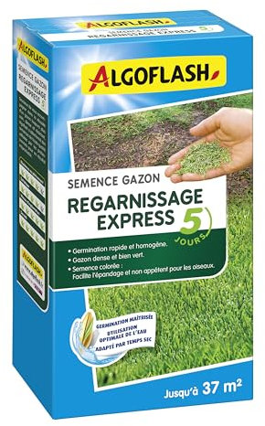 Algoflash Semence Gazon Regarnissage Express 5 Jours - 800 g, Verte
