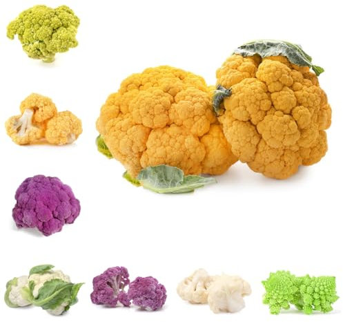 blumenkohl samen, winterblumenkohl alte gemüsesorten samen, seltene pflanzen blumenkohlsamen gemüsesamen winterhart, saatgut alte sorten steingartenpflanzen winterhart, gemüsesaat 400pcs