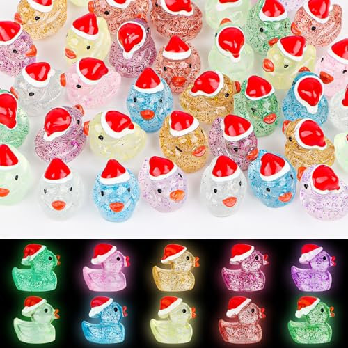 50PCS Mini Christmas Ducks,Resin Mini Ducks,tiny Ducks,glow in The Dark Ducks,Figures Ornament for Micro Landscape Garden,Christmas Party Bag Fillers Indoor Decoration