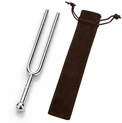 1 pieza diapasón 440 Hz, ayuda de afinación para instrumentos musicales, acero inoxidable, tono de referencia claro para entrenamiento auditivo y clases, bolsa incluida
