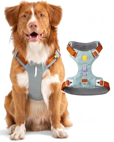 Woolly Wolf Alpha 360 Dog Harness S Gletschergrün - Hundegeschirr für kleine Hunde aus 100% recyceltem Polyester, Verstellbar & leicht, Perfekt an den Hundekörper anpassbar