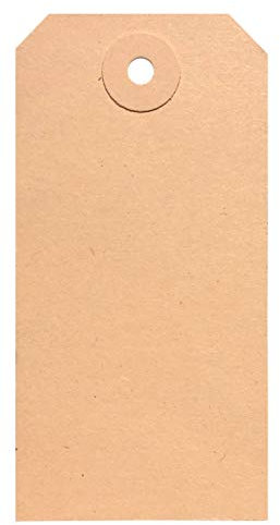 BT-Label 1000 Anhängeschilder 60 x 120 mm mit Loch (verstärkte Kartonöse), als Warenanhänger, Kartonanhänger, Anhängezettel, Papier-Anhänger, Tags, Karton-Etiketten