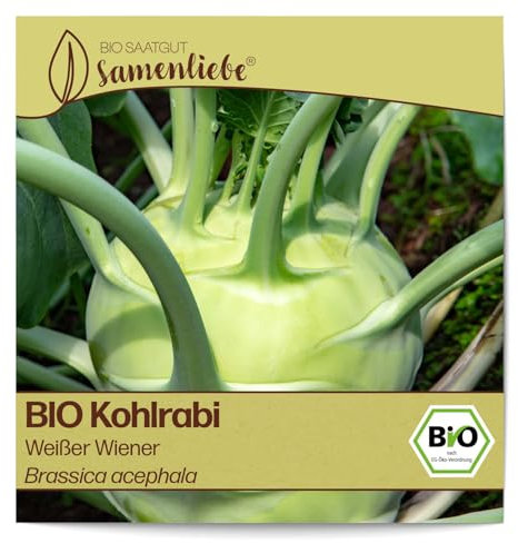 Samenliebe BIO Kohlrabi Samen alte Sorte Weißer Wiener 200 Samen samenfestes Gemüse Saatgut für Gewächshaus Freiland und Balkon BIO Gemüsesamen