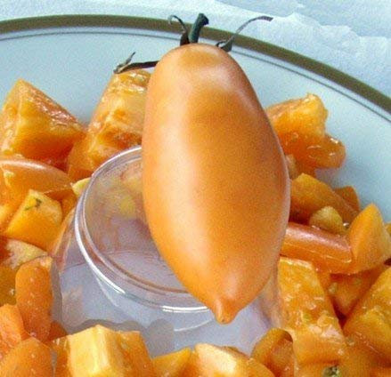 5 Pacchetti di 25 Banane Semi Arancioni