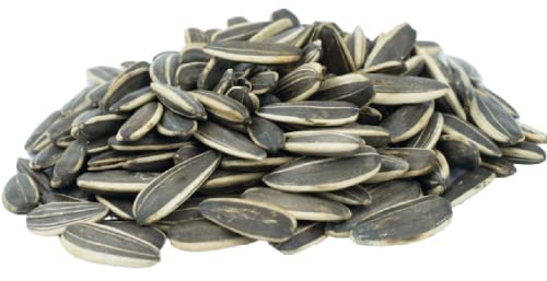 Gerbs Jumbo Raw Whole Sunflower Seeds 2 lbs. | No Artificial Additives, Shell-On, Resealable Bag | Crack-and-Eat Crunchy Snack | Top 14 Allergen-Free
