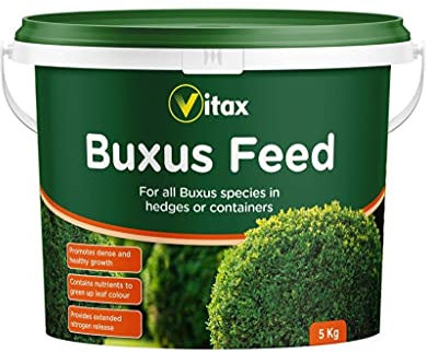 Vitax Buxus Engrais pour haies et conteneurs, libération prolongée d'azote, favorise une croissance saine : pot de 5 kg
