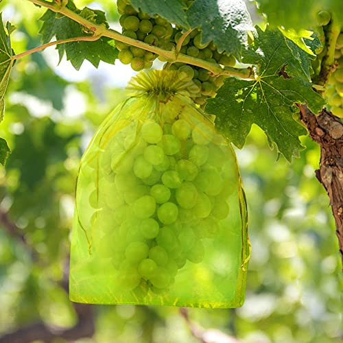 100pcs Sac de Protection de Grappe de Raisin 30x40CM Sac de Protection des Fruits en Organza en Maille avec Cordon Contre Les Oiseaux et Insectes Guêpes