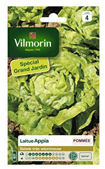 Vilmorin - Sachet graines Laitue Appia spécial grand jardin
