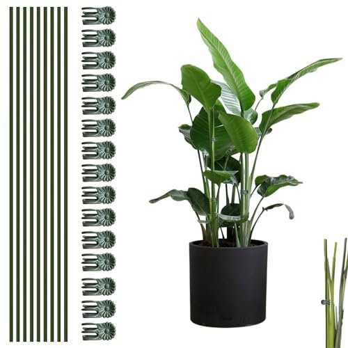 Lot de 10 poteaux de support de plante avec clip de 15 pièces, pliable pour soutien des plantes grimpantes