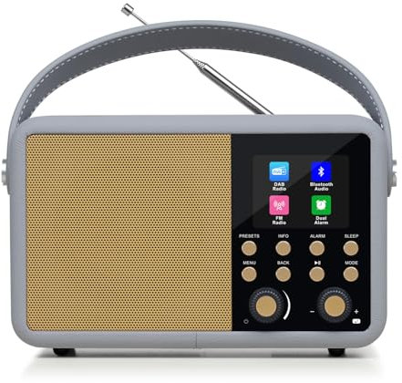 LEMEGA Class Finesse Radio Ddigitale DAB+ con Schermo a Colori – Radiosveglia Bluetooth con 60 Stazioni, Lunga Autonomia,Presa Cuffie, Alimentazione a Rete o Batterie,Audio Potenziato, Grigio medio