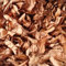 Generisch Buchen Blätter - Futter für Garnelen, Schnecken und Krebse (5g)
