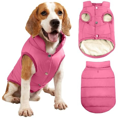PETCUTE Cappotto Invernale per Cani,Cappottino per Cani con Foro Per Imbracatura,Antivento Giubbotto Invernale Cane per Cani di Taglia Media Taglia,Giacca per Cani in Autunno e Inverno