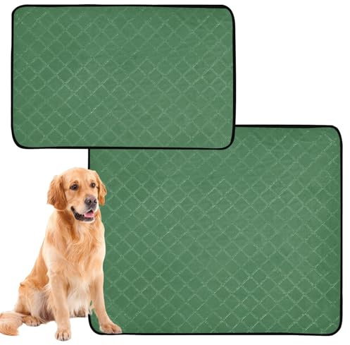 2 Pack Dog Pee Rug Dog Pee Pads Extra Large Washable Anti Slip Rug for Lawn 24x36in＋36x42in Meadow Green
