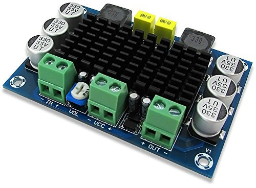 DollaTek DC 12V-24V TPA3116 D2 100W Mono Kanal Digital Audio Endverstärker Board für Auto