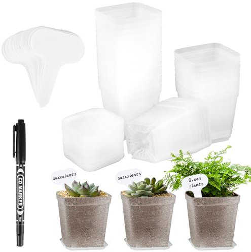 RISF 30 Stück Anzuchttöpfe, Transparente Pflanztöpfe mit Untersetzer, Ø 7cm Kunststoff Vierkant Mini Töpfe, Anzucht Ackig Klein für Samen, Sukkulenten, Setzlinge