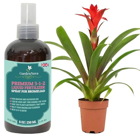 Professional Bromeliad Spray Fertilizer Mist for Home Gardening | 3-1-2 Gentle Blend Mist for Healthy Leaves & Growth | Essential Nutrients for Bromeliad - 8oz
