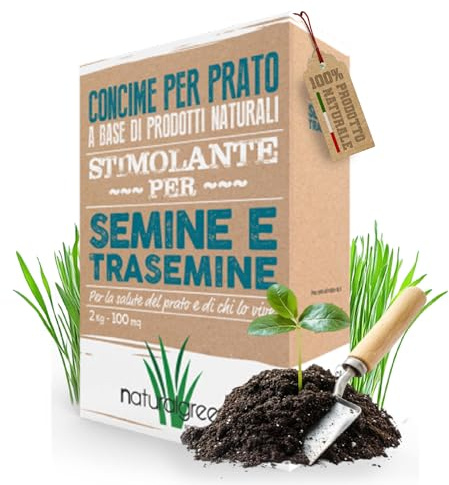 B4Green Concime Starter per Prato Semina e Trasemina (100m²) Alto Fosforo