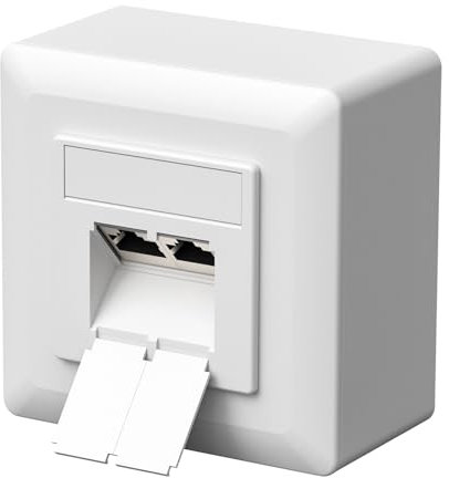 FGB CAT6a Prise réseau universelle - Prise réseau - 2 ports RJ45 - Blindée - Montage en saillie ou encastrée - 10 Gigabit Ethernet - Pour câble réseau réseau - Câble de pose - Blanc