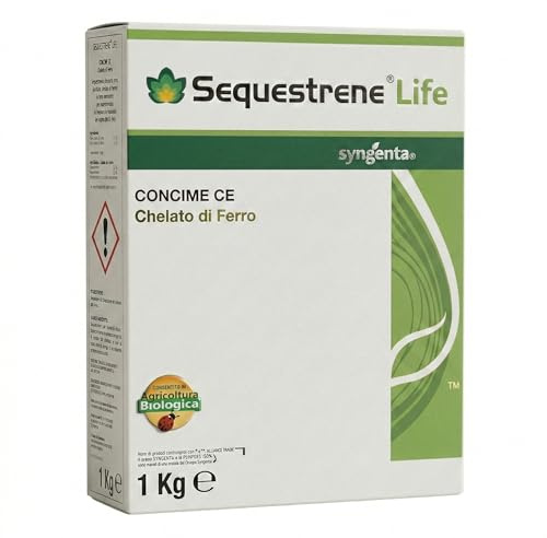 BERARDI Ferro Chelato Puro di Elevata Qualità in Granuli Solubili in Acqua KG 1 Contro Ingiallimenti per Clorosi Ferrica Biologico