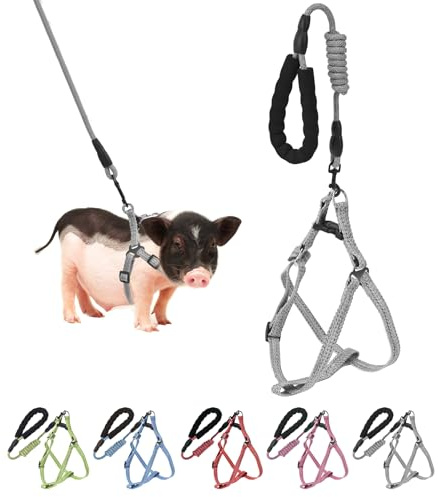 YeeBeny Harnais réglable pour petit cochon avec laisse de style Infinity et poignée en mousse souple pour petits et moyens animaux de compagnie pour la marche, l'entraînement, le jogging (vert, taille