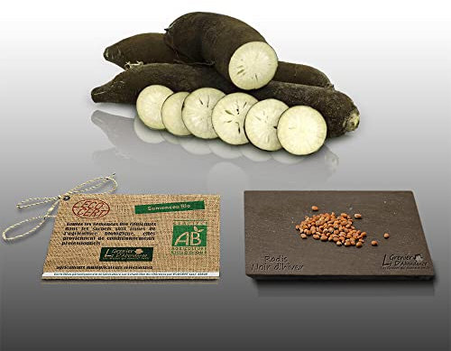 100 graines Bio à semer - Le Grenier d'Abondance - RADIS Noir Gros Long D'hiver - Certifié AB - Radix