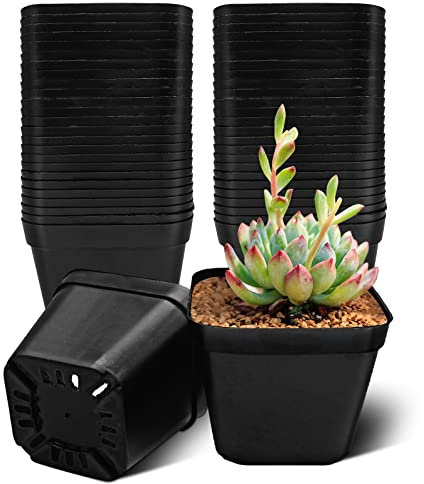WAIZHIUA 50Pcs Plant Flower Pots 10cm Plastic Square Plant Nursery Pots Small Flower Plant Container for Succulent Fruit Vegetable Seedlings Transplanting