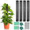 Herbst 4pcs Tutor Plantas, 24 cm Tutor Monstera Plástico, Tutor Musgo, Soporte Plantas Trepadoras Interior(Negro)