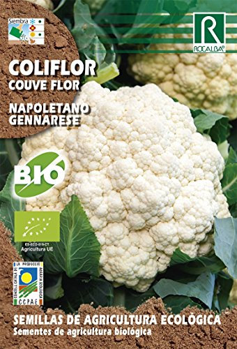 Semillas ECOLOGICAS Coliflor Napolet
