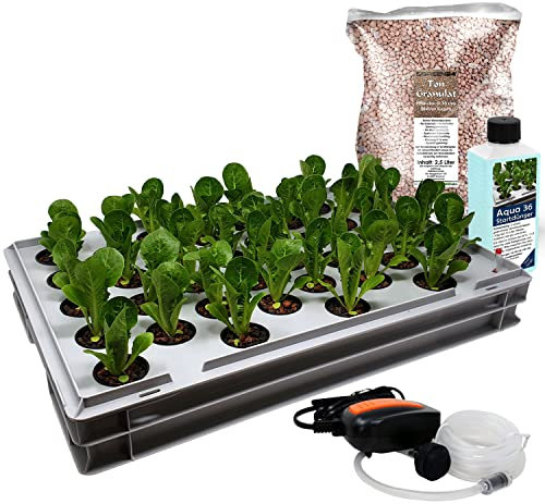 GREEN24 Aqua 36-C Pro Hydroponic Anzucht-System XL 40 x 60 cm Hydroponik Indoor Pflanzen-Aufzucht für Nutzpflanzen, Gemüse, Kräuter, Salate, Zierpflanzen in Tiefwasserkultur (Modell Aqua 36-C)