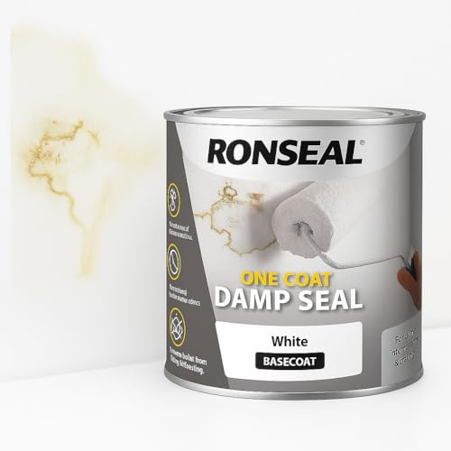 Damp Seal White 250ml – Damp Proof Paint & Mould Protection – Anti Mould Paint for Bathroom & Interior Walls – White Sealant to Cover Damp Stains