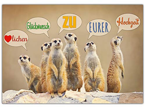 A4 XXL Hochzeitskarte ERDMÄNNCHEN mit Umschlag - edle & lustige Glückwunschkarte - Maxikarte zum Aufklappen zur Hochzeit Karte von BREITENWERK