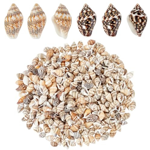 PH PandaHall 330 perlas naturales de concha de 2 estilos, pequeñas conchas en espiral, océano, playa, conchas perforadas, conchas con agujero de 1 mm para hacer joyas, decoración de fiestas