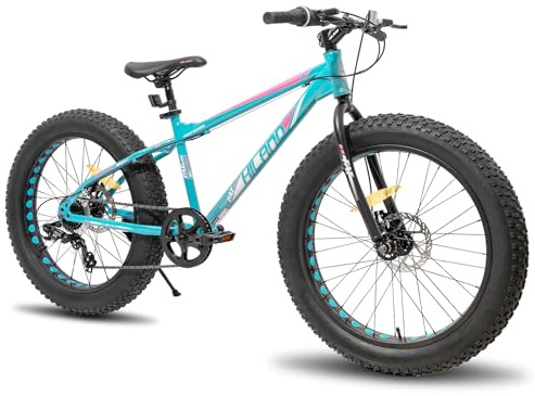 HILAND Mountain bike con pneumatici larghi 20 pollici, 7 velocità, doppi freni a disco, adatta per spiaggia e neve, unisex, verde
