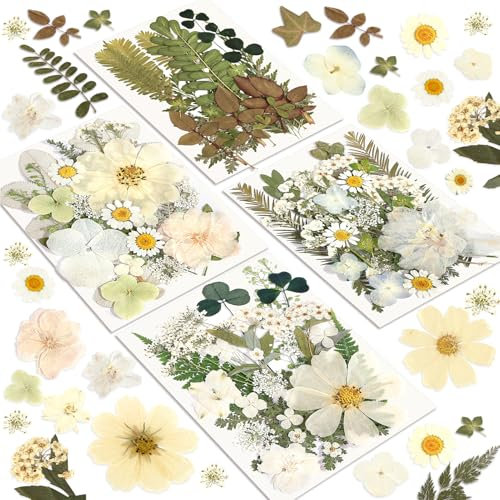 Dried Flowers, Resiners 100Pcs Pressed Flowers for Resin Soap Candle Scrapbook Supplies Card, White Real Natural Dried Flowers Dry Leaves Kit for DIY Papper Crafts Making Jewelry Decor