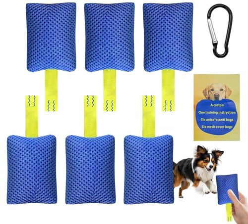 Équipement d'entraînement à l'agilité canine Set interactif d'entraîneur | Équipement Entraînement Agilité Canin Pour chiot intérieur plage piscine arrière-cour extérieur cour jardin parc