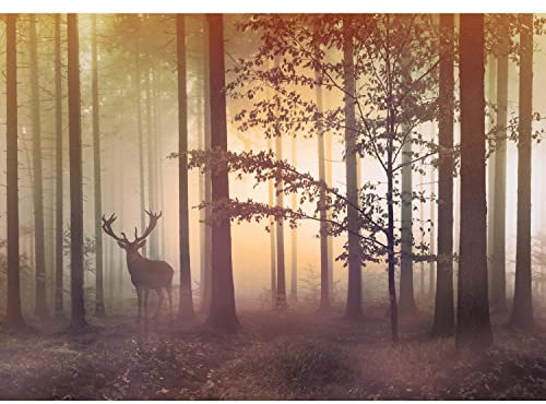 Runa Art Fototapete Wald Hirsch Nebel Modern Vlies Wohnzimmer Schlafzimmer - Made in Germany - 308 x 220 cm Gelb Braun 9338010c