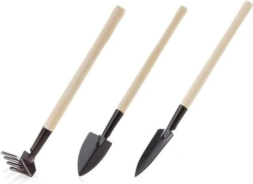 Juego de herramientas de jardín, pala, tenedor y pala de acero inoxidable con mango de madera, perfecto para plantas en maceta, flores y diseminación de semillas