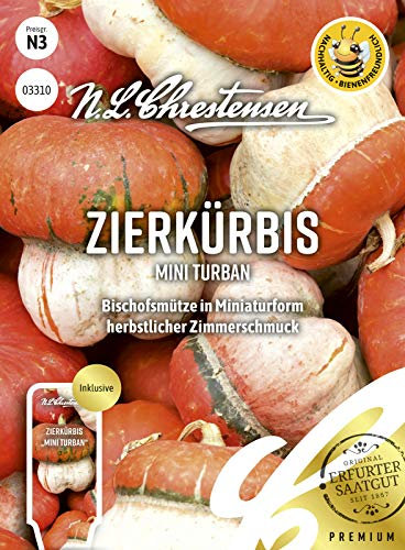 Zierkürbis Mini Turban Samen, Saatgut