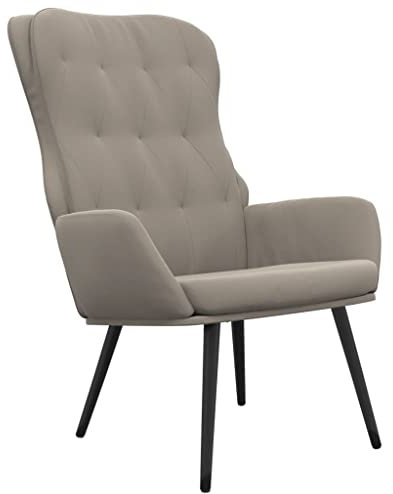 vidaXL Relaxsessel, Sessel mit Armlehne, Fernsehsessel für Wohnzimmer, Polstersessel Lesesessel mit Metallgestell, Modern, Hellgrau Samt