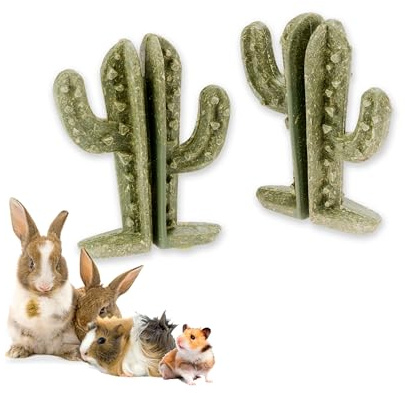 Ferplast Natural Snack for Rodents, Hamsters, Guinea Pigs and Rabbits, Promotes Dental Hygiene, Stimulates Play and Offers Taste and Well-Being, Cactus-shaped
