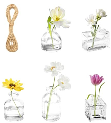 APOMOONS 5 Pezzi Vasetti Vetro Piccoli Piccolo Vaso per Fiori Vaso Centrotavola per Casa Centrotavola Matrimonio Festa Soggiorno Decorazioni Decorazione da Tavolo per Feste con Corda di Iuta