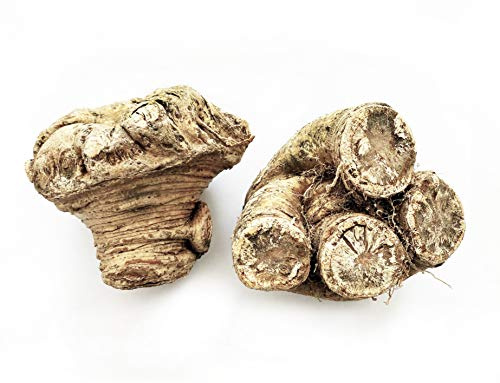 Fresh Celery Root Celeriac - Knob/Turnip-Rooted Celery (2 Pounds) | Premium Root Vegetable for Gourmet Cooking | Versatile Low-Carb Alternative