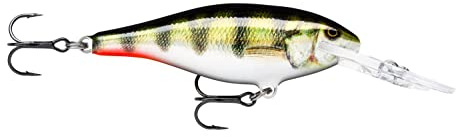 Rapala - Shad Rap Angelköder - Angelzubehör mit Balsa-Konstruktion - Süßwasser Spinnköder - Lauftiefe 2.4-4.5m - Fischköder 9cm, 15g - Hergestellt in Estland - Live Hologram Perch