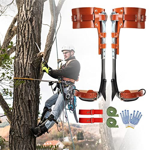 scosao Baumklettern Ausrüstung Set, Steigeisen Baumsteigeisen Aus Edelstahl Baumkletterausrüstung, Baumkletterspikes zum Klettern von Bäumen, Überleben im Dschungel, Obsternte, Sport