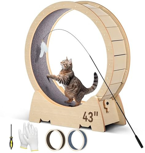 WARDIX Katzen-Laufrad, 110 cm, großes Laufrad, Katzenlaufband für Indoor-Katzen, mit ultra-langem Katzenspielzeug und 2 abnehmbaren Teppichen