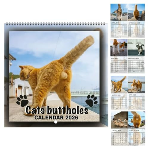 Calendario da parete gatto 2026 - Calendario a tema gatto 12, organizzatore di pianificazione familiare per scrivania, soggiorno, camera da e pianificazione del frigorifero