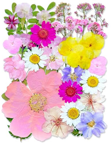 Auiremrti 33 unidades de flores secas prensadas rosas, paquete a granel natural real, varios pétalos secos para manualidades, jabón, decoración de uñas