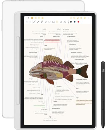 XPPen Magic Note Pad - Cuaderno digital, tableta electrónica de papel con bolígrafo