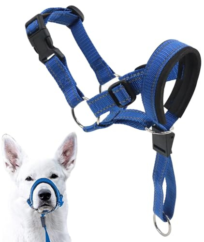 TENGWA Collar Adiestramiento Perros Acolchado de Esponja Bozal para Perros Cuello 36-50 cm Ajustable Azul Reflectante Suave y Ligero Evita Mordeduras Ladridos y Tirones